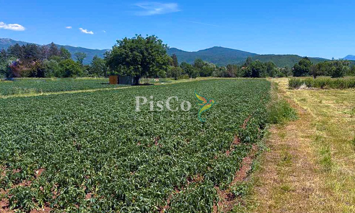 Prodaja, plac 6077 m², Miločani, Nikšić, uz rijeku Zetu-380
