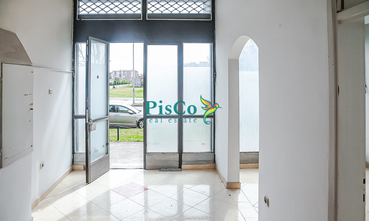 poslovni autouska izdavanje (3 of 17)