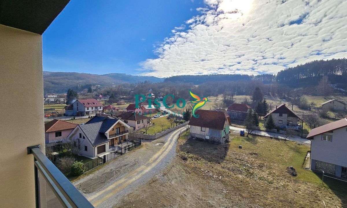 stan kolasin (1 of 8)