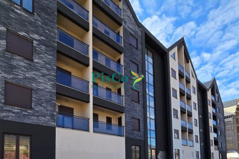 stan kolasin (2 of 8)