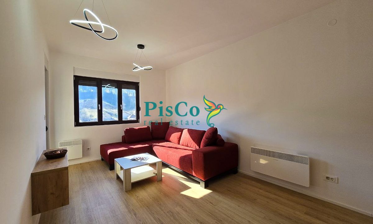 stan kolasin (3 of 8)