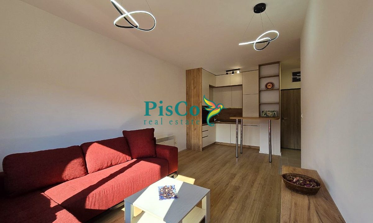 stan kolasin (4 of 8)