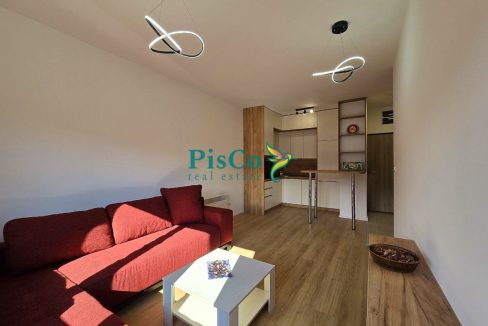 stan kolasin (4 of 8)