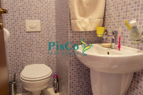 viber_image_2025-06-05_13-34-46-733