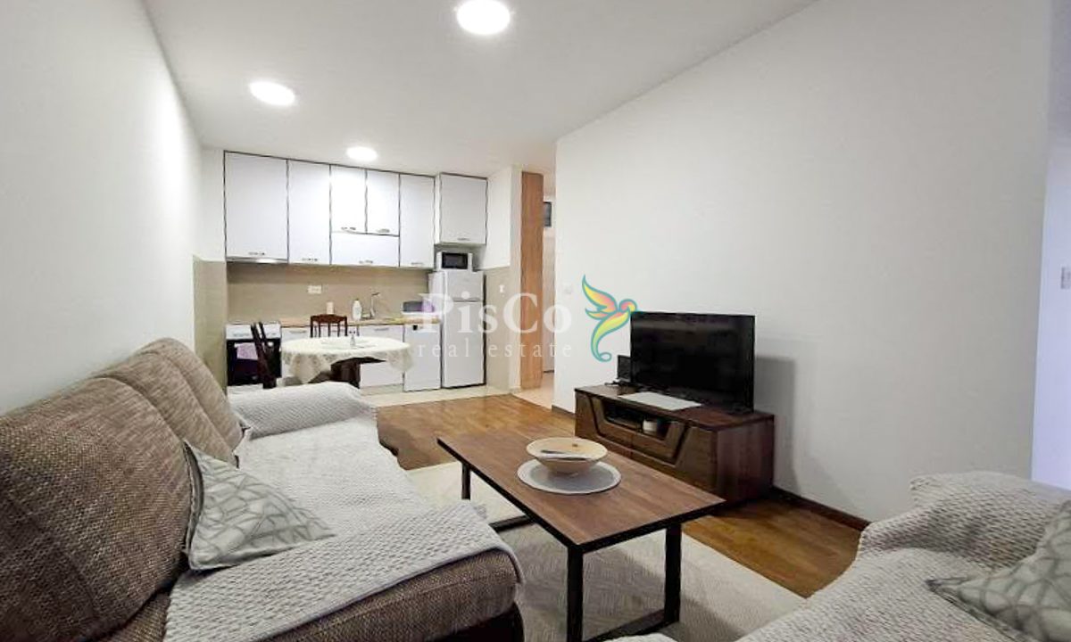 Izdavanje, Zabjelo, Jednosoban stan 43m2, Podgorica-218