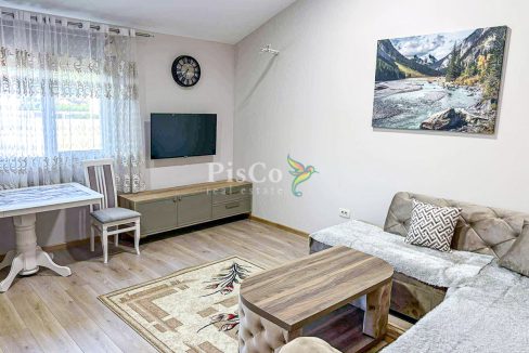 Izdavanje jednosoban stan, Donja Gorica, Podgorica, 55m2--5