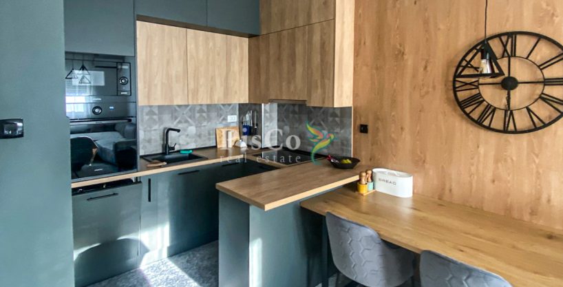 Izdavanje jednosoban stan Pobrežje, 47m2, Podgorica