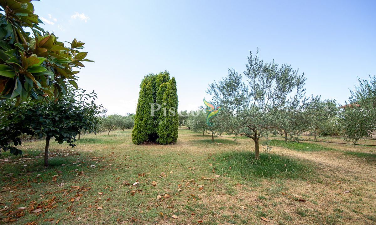 Izdavanje kuća 100m2, Zeta, Podgorica-2314