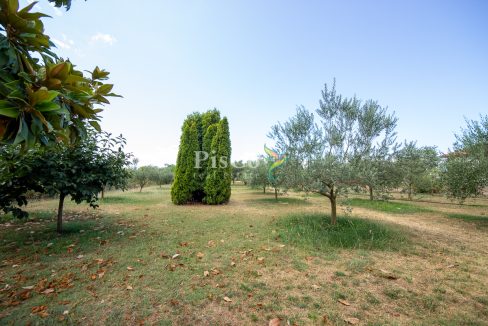 Izdavanje kuća 100m2, Zeta, Podgorica-2314
