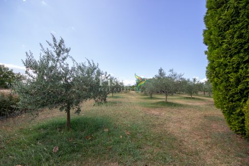 Izdavanje kuća 100m2, Zeta, Podgorica-2315