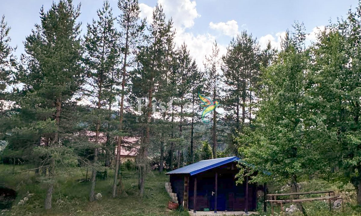 Prodaja Vikendica Žabljak 21m2, Borje-541