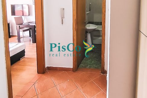 amfora izdavanje (3 of 9)