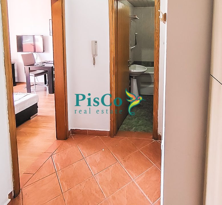 amfora izdavanje (3 of 9)