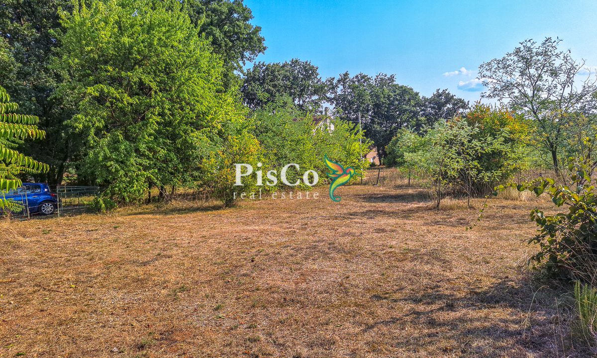Kuća 70m2, Plac 2800m2, Martinići, Danilovgrad-163706