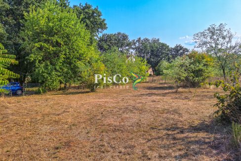 Kuća 70m2, Plac 2800m2, Martinići, Danilovgrad-163706