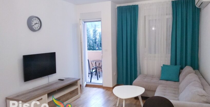 Izdavanje - Jednosoban stan 45m2, City kej