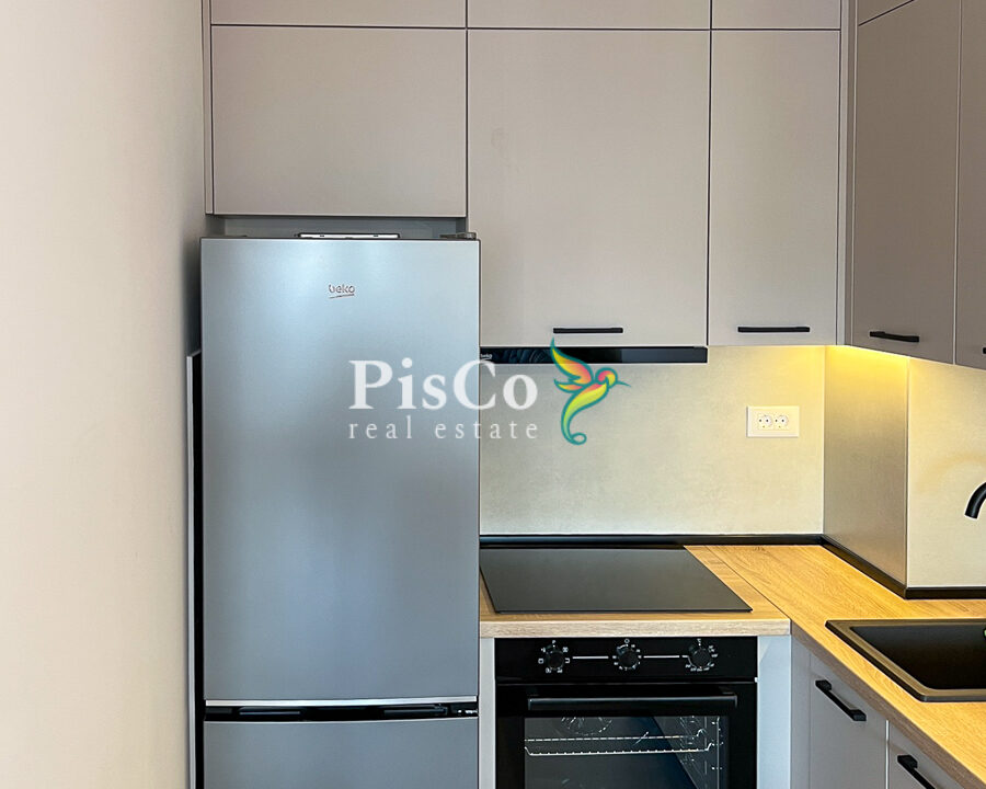 Izdavanje jednosoban stan Stari aerodrom, 46m2, Podgorica-034