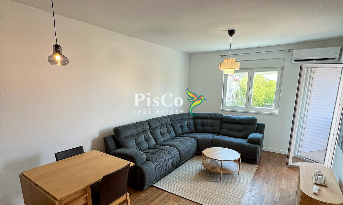 Izdavanje jednosoban stan Stari aerodrom, 46m2, Podgorica-411