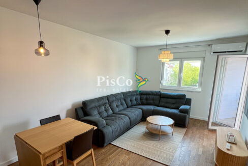 Izdavanje jednosoban stan Stari aerodrom, 46m2, Podgorica-411