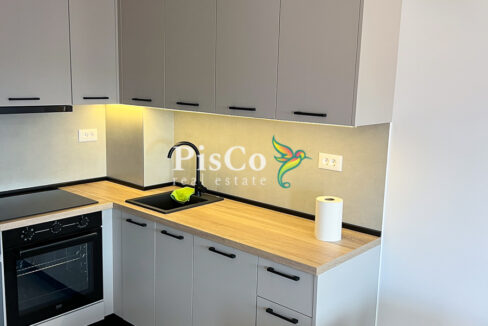 Izdavanje jednosoban stan Stari aerodrom, 46m2, Podgorica-457