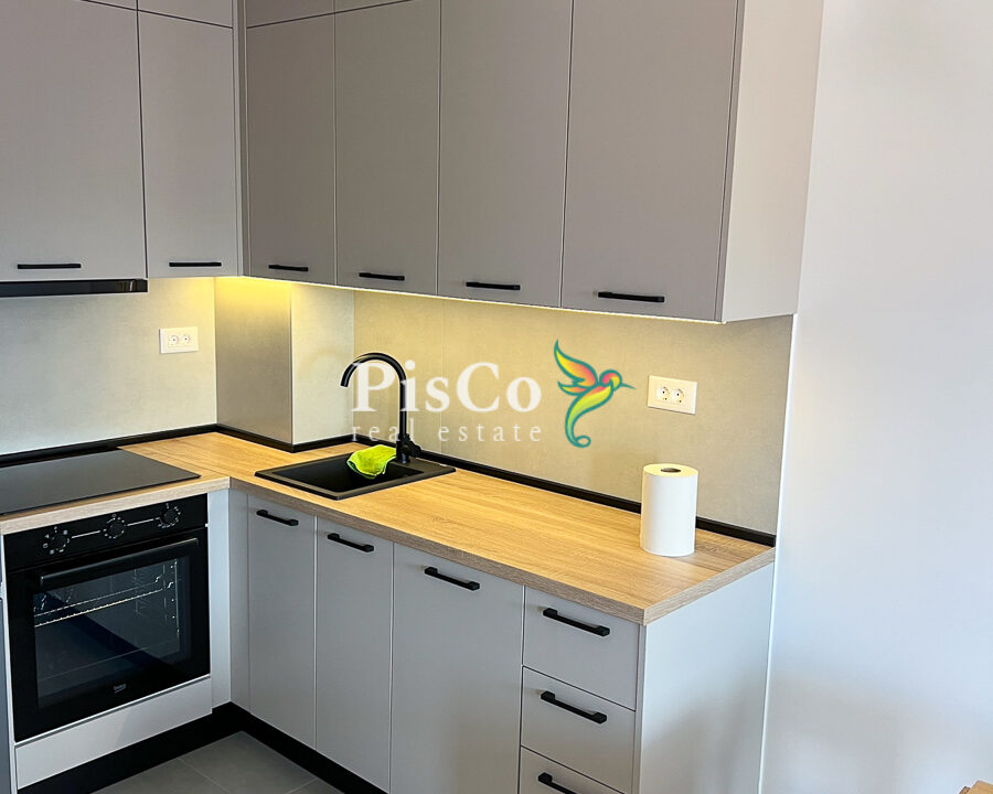 Izdavanje jednosoban stan Stari aerodrom, 46m2, Podgorica-457