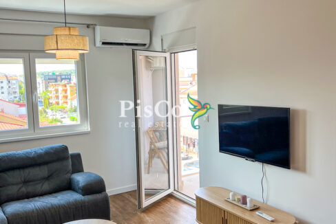 Izdavanje jednosoban stan Stari aerodrom, 46m2, Podgorica-559