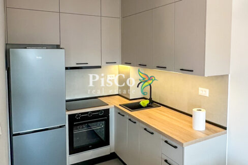 Izdavanje jednosoban stan Stari aerodrom, 46m2, Podgorica-919