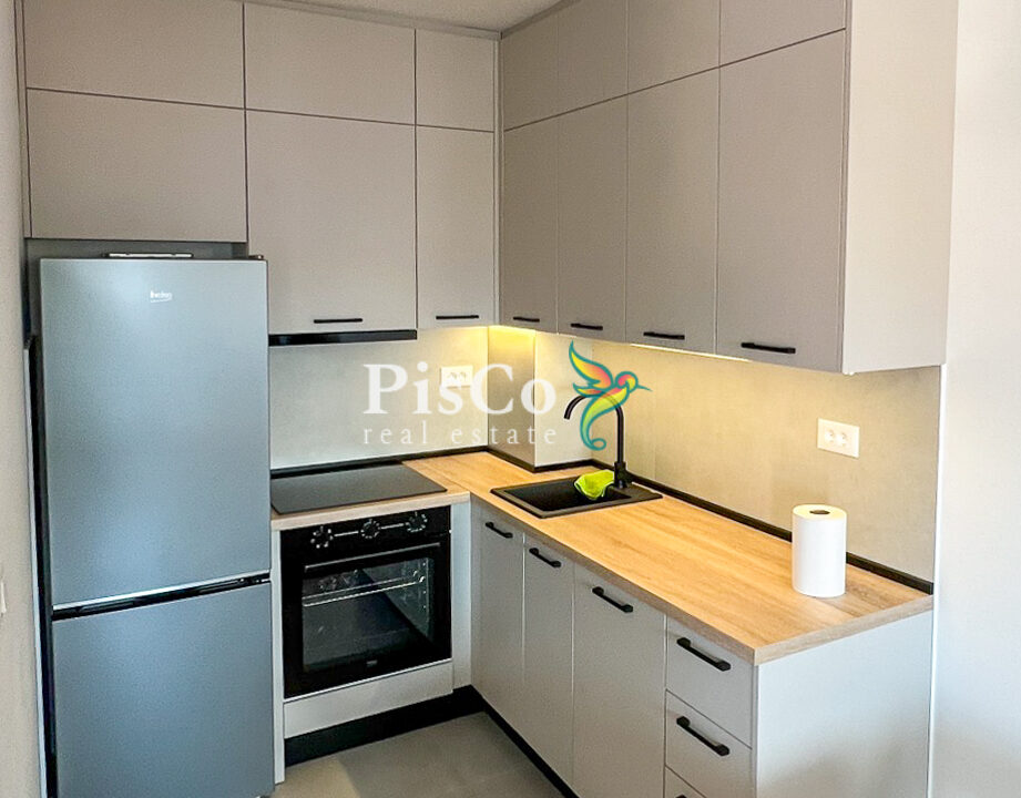 Izdavanje jednosoban stan Stari aerodrom, 46m2, Podgorica-919