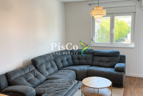 Izdavanje jednosoban stan Stari aerodrom, 46m2, Podgorica-954