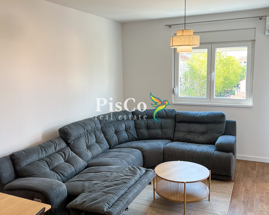 Izdavanje jednosoban stan Stari aerodrom, 46m2, Podgorica-954