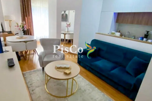 Prodaja, jednosoban stan, 35m2, Ljubović, Podgorica--4