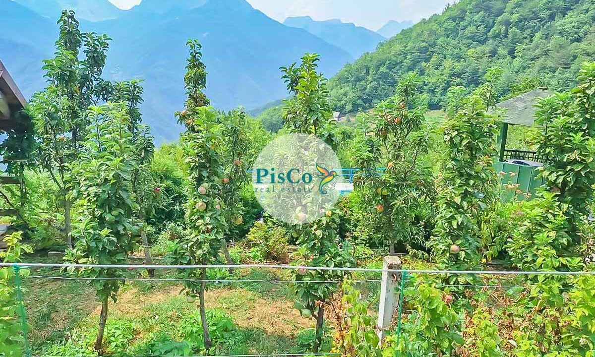 Imanje na prodaju – Raško, između Podgorice i Kolašina-11