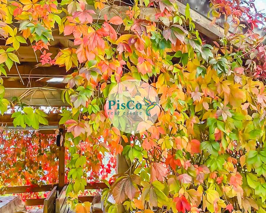 Imanje na prodaju – Raško, između Podgorice i Kolašina