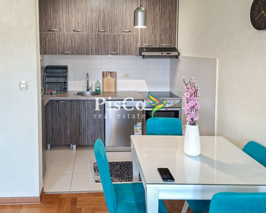 Izdavanje, Jednosoban stan 43m2, Podgorica, Stari Aerodrom-463