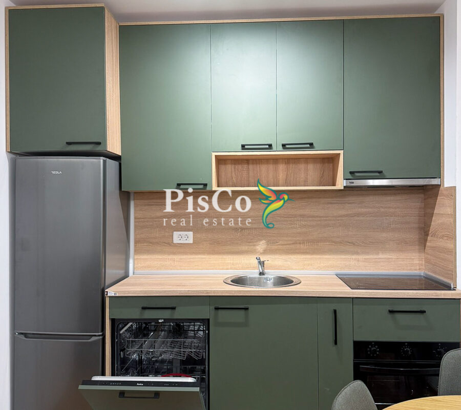 Izdavanje jednosoban stan Zagorič, 46m2, Podgorica