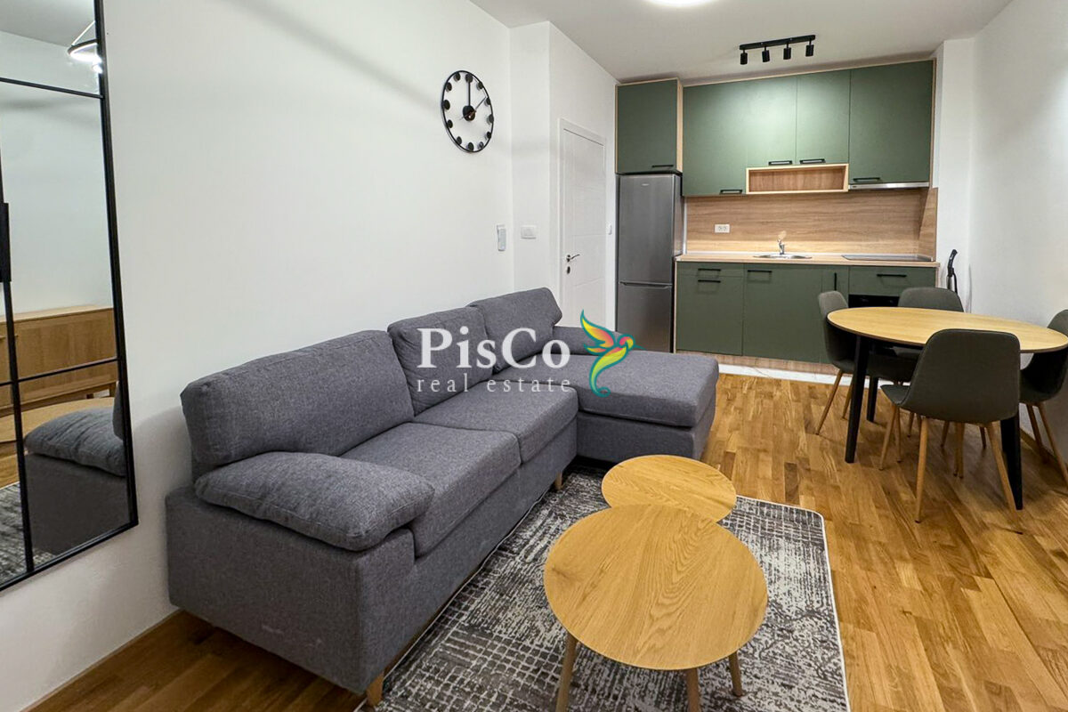 Izdavanje jednosoban stan Zagorič, 46m2, Podgorica