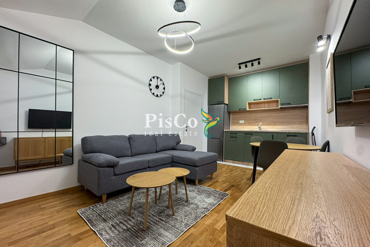 Izdavanje jednosoban stan Zagorič, 46m2, Podgorica