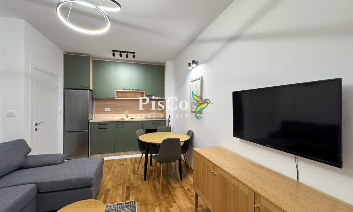 Izdavanje jednosoban stan Zagorič, 46m2, Podgorica-803