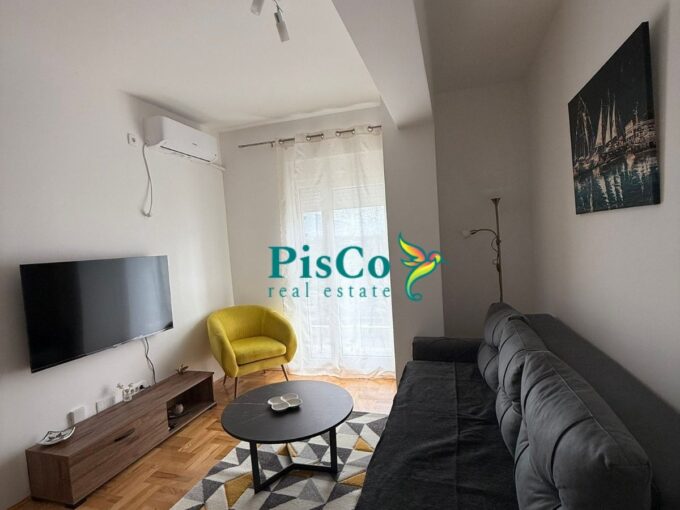 Izdavanje - Jednosoban stan 42m2, Tuški put