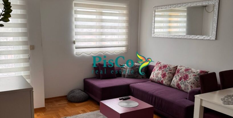 Izdavanje - Jednosoban stan, Stari aerodrom 1 Izdavanje - Jednosoban stan, Stari aerodrom