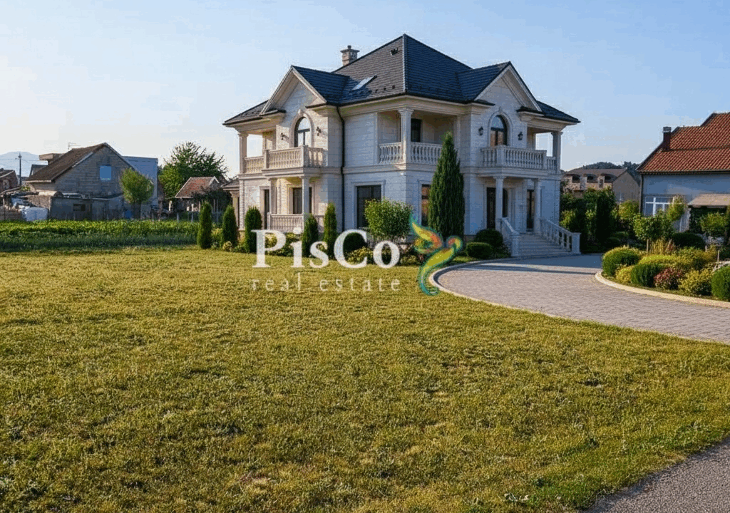 Nemanja_Bulajić_The_house_should_be_placed_so_that_it_follows_the_perspective_of_b40ef495-40af-4908-855a-fbab17d13169