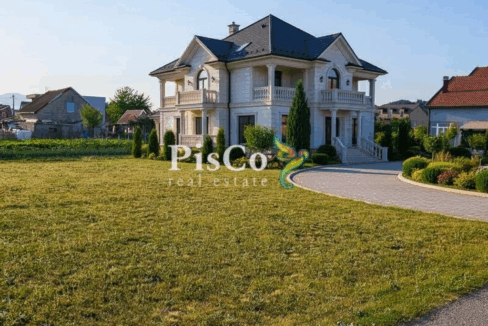 Nemanja_Bulajić_The_house_should_be_placed_so_that_it_follows_the_perspective_of_b40ef495-40af-4908-855a-fbab17d13169