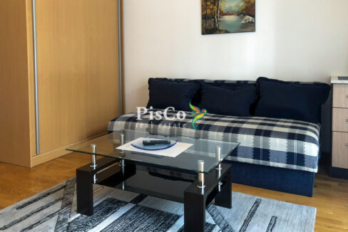 Izdavanje, garsonjera City kvart, 33m2, Podgorica-218