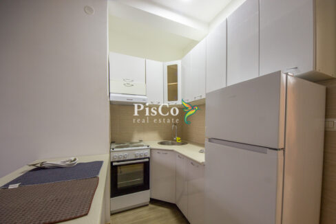 Prodaja dvosoban stan 45m2, Zabjelo, Podgorica-2936