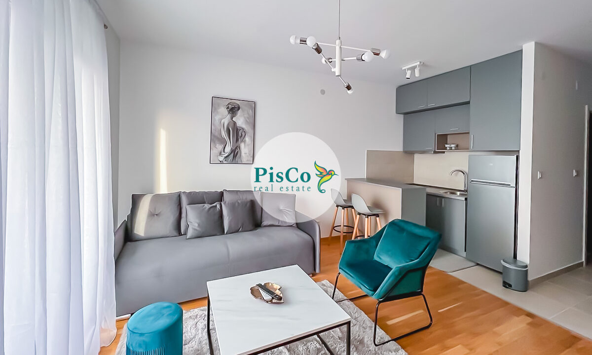 Izdavanje stanova Podgorica, garsonjera, LJubović (2 of 10)