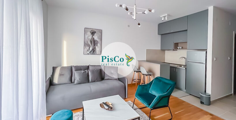 Izdavanje stanova Podgorica, garsonjera, Ljubović 6 Izdavanje stanova Podgorica garsonjera LJubovic 2 of 10