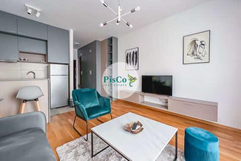 Izdavanje stanova Podgorica, garsonjera, LJubović (7 of 10)